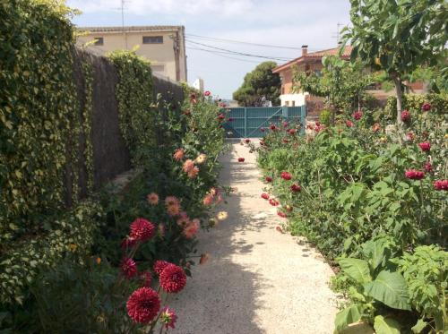 a garden with flowers on the side of a wall at Lera de cal roger in Verdú