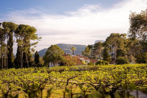 Photo de la galerie de l'établissement Le Castel, La chambre La Goutte d Or, à Solliès-Pont