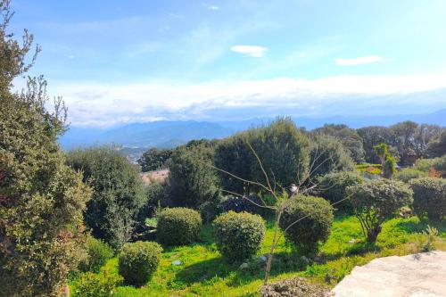 Apartment 3 rooms with garden in Ajaccio