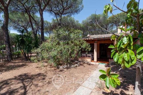 Κήπος έξω από το Garden Pine House