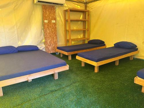 three beds in a tent in a room at בלום ווילג' - קייקי כפר בלום in Kefar Blum