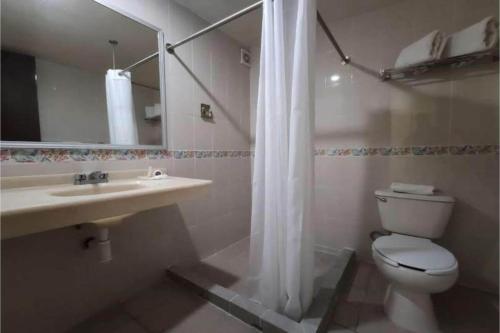 a bathroom with a toilet and a sink and a mirror at Hotel Del Portal, Puebla in Puebla