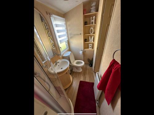 インゴールドメルズにある6 berth Waterside Ingoldmells Skegness J4 Santanavan 10のトイレと洗面台のある小さなバスルーム