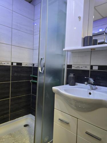 un baño con lavabo y ducha en Nada's room with terrace, en Kotor