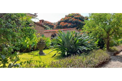 a garden with plants and trees and a building at Capital O Posada Del Pescador Jocotepec in Chapala