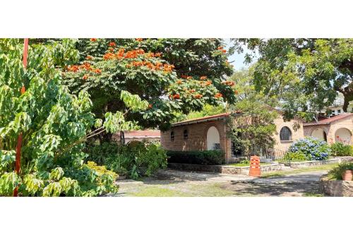 a garden with a tree with orange flowers on it at Capital O Posada Del Pescador Jocotepec in Chapala