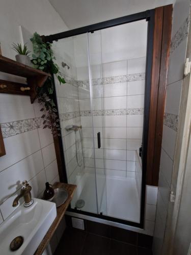 un baño con ducha y lavabo en Touch of history apartment, en Bratislava
