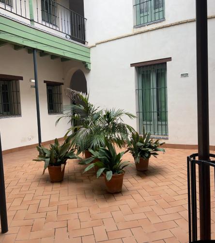 One&Lux Gran Poder - Modern loft with Private Pool and Terrace