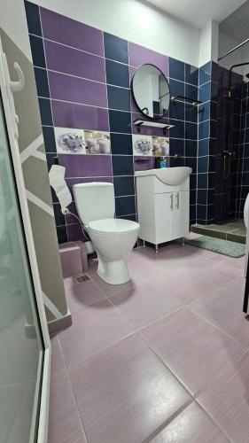 a bathroom with a toilet and a sink and a mirror at CoraHome Ultra Central in Corabia