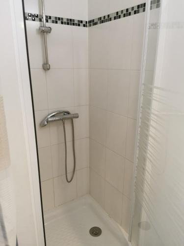 une salle de bain avec une douche avec une porte vitrée dans l'établissement Suite Condorcet 3 Ch 3 Sdb, à Reims