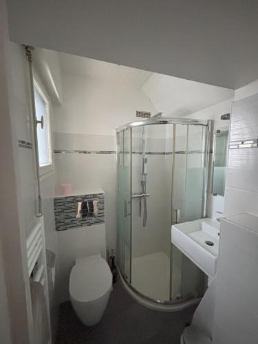 une salle de bain avec une douche, des toilettes et un lavabo dans l'établissement Studio le Sterne, à Perros-Guirec