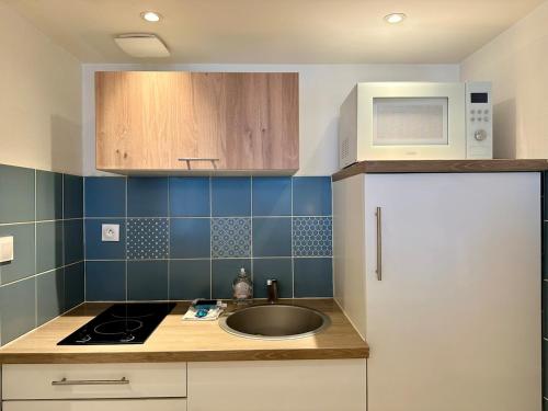 une cuisine avec un évier et un micro-ondes dans l'établissement Le Repère - 2 à 4 personnes - Lit King Size - Proche Gare, à Nancy