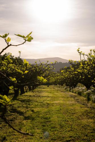 Photo de la galerie de l'établissement Le Castel, La Chambre La Bourjassot, à Solliès-Pont