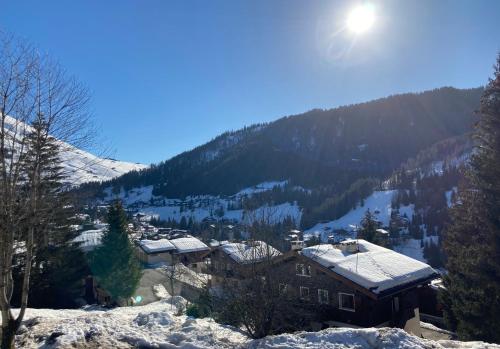 Appartement 3 pieces, proche des pistes, wifi et parking gratuit
