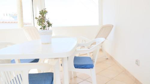 a white table and chairs with a potted plant on it at Cataldo Guest House in Capri