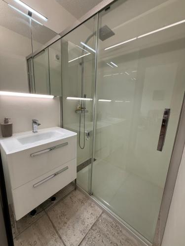 une salle de bain avec une douche en verre et un lavabo dans l'établissement T3 Marina tout inclus- Plage à pied, à Saint Cyprien Plage