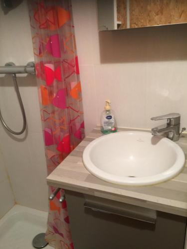 une salle de bain avec un lavabo et une douche dans l'établissement maison laréral mer fromentine, à La Barre-de-Monts