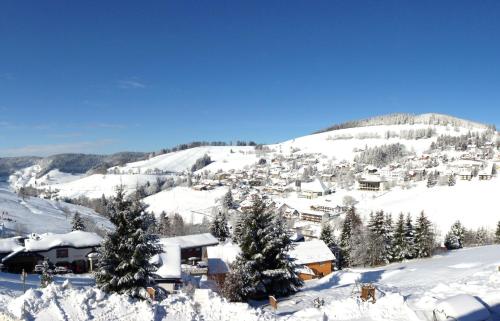a small town covered in snow on a mountain at Ferienwohnungen Kehrwieder in Todtnauberg
