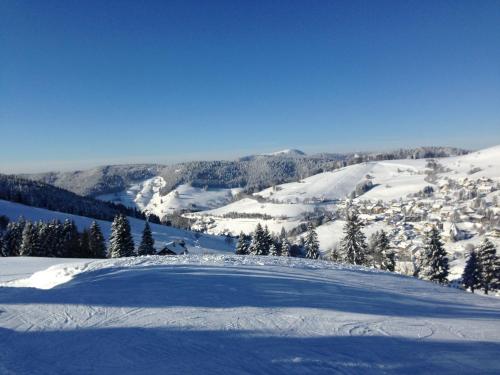 a view of a snow covered mountain with trees at Ferienwohnungen Kehrwieder in Todtnauberg