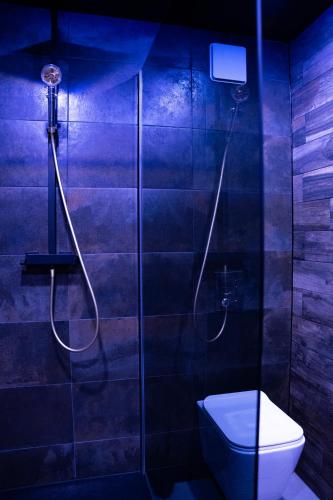 une salle de bain avec une douche en verre et des toilettes dans l'établissement Appartement Jacuzzi, à Strasbourg