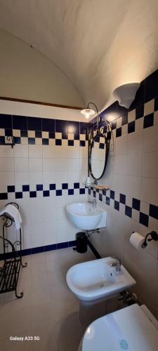 a bathroom with a sink and a toilet and a mirror at Oryza Guest House in Desana