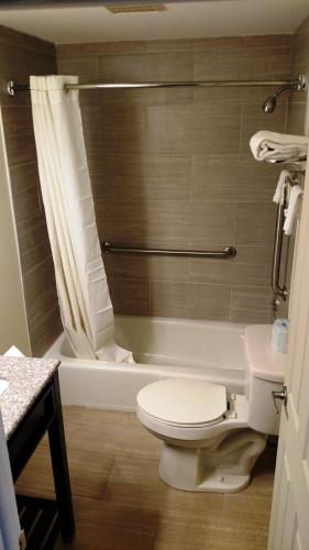 a bathroom with a toilet and a shower and a sink at Gene's Motel in Cinnaminson