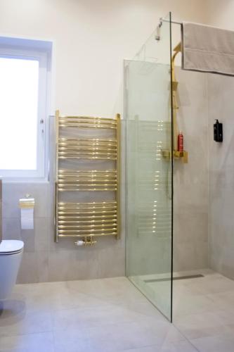 a bathroom with a glass shower and a toilet at Prosecco in Tecklenburg