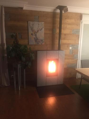 a light in a room with a wood wall at LA MAISON D'ULYSSE spa et détente in Anould