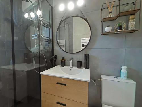 une salle de bain avec un lavabo et un miroir et des toilettes dans l'établissement Maison 5 pièces avec wifi, près plage et centre, Brem sur Mer - FR-1-224A-73, à Brem-sur-Mer