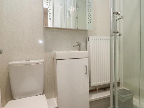 a white bathroom with a toilet and a shower at Tanyfron Holiday Studio in Holyhead