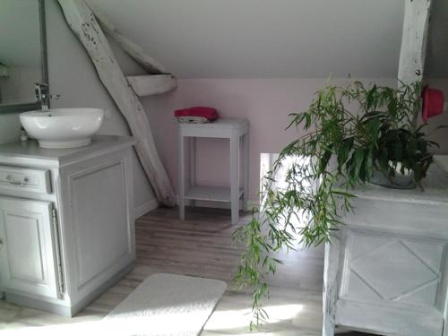 a bathroom with a sink and a potted plant at Quai n5 in Luzech