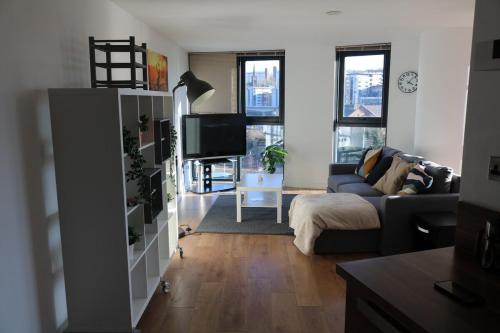 a living room with a couch and a tv at Opulent Apartment City Centre in Sheffield