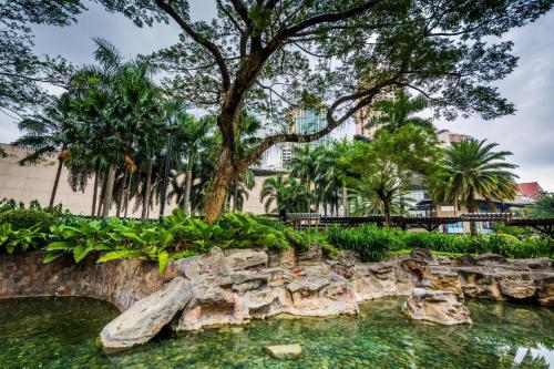 a pond in a park with a tree and trees at Loveness Apartelle in Manila