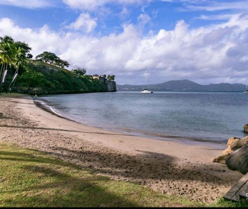 a sandy beach with a boat in the water at Charmant Studio Cosy Amatera in Fort-de-France