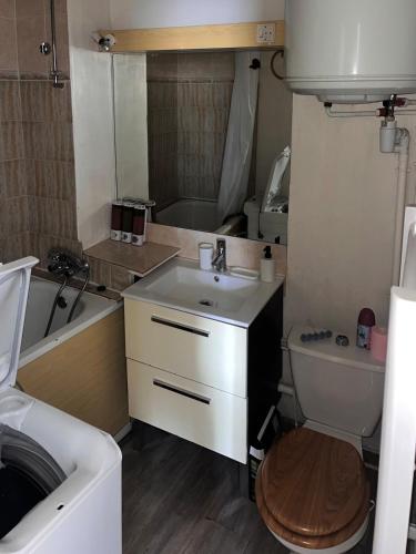 une salle de bain avec un lavabo, des toilettes et une baignoire dans l'établissement Logement chaleureux à 2 pas de la cathédrale, à Clermont-Ferrand