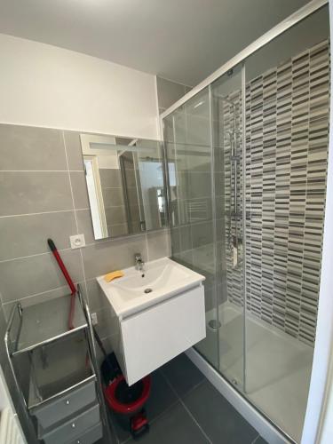 une salle de bain avec un lavabo et une douche en verre dans l'établissement Charmant Studio Rêves de Mer 101, à Fort-Mahon-Plage