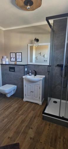 a bathroom with a shower and a sink and a toilet at Haylees Hus 2 in Kellenhusen