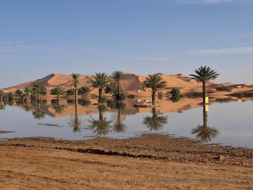 a group of palm trees in the desert at Morocco Deluxe Camp - Assif n'Itrane in Lac Yasmins