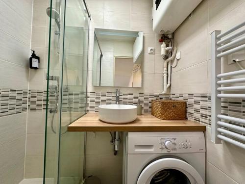 une salle de bain avec un lavabo et une machine à laver dans l'établissement Le Bohème - Duplex - 2 à 4 personnes - Proche Gare, à Nancy