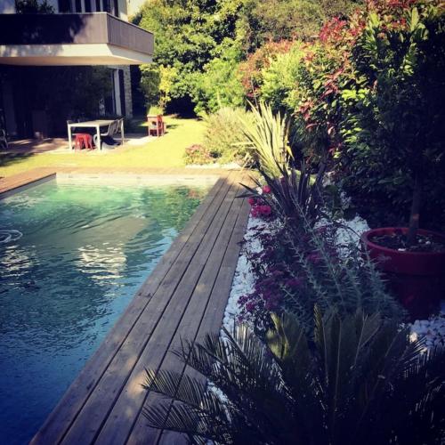 une piscine avec une terrasse en bois et quelques plantes dans l'établissement Maison Biarritz, à Biarritz