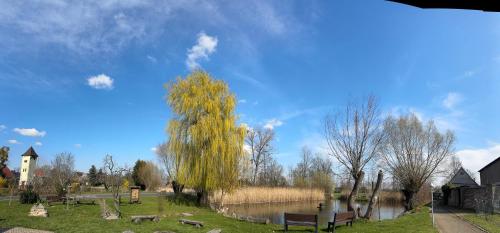a park with benches and a tree next to a river at Wohnmobil Ferienanlage Nordsachsen in Zschepplin