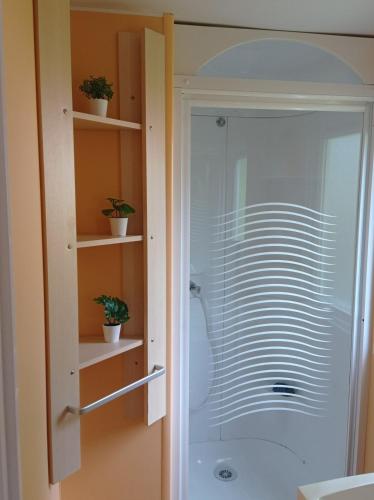 une douche avec une porte vitrée dans une salle de bain dans l'établissement Charming Mobile Home Campsite 3stars 40 min from Paris, à Saint-Chéron