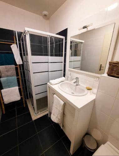 une salle de bain avec un lavabo, un miroir et une douche dans l'établissement Charming Quiet House in Soorts Hossegor - Pedebert Area -- Certified 3 stars Holiday Home, à Soorts-Hossegor