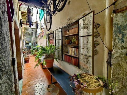 an alley with a book shelf and potted plants at Mudejar in Morelia
