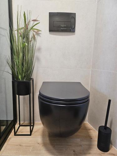 a black toilet in a room with two plants at Studio Sea view in Bol