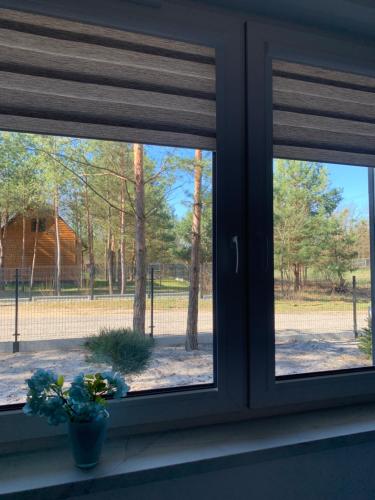 a window with a view of a tennis court at Domy Leśne Szumy na Roztoczu in Zwierzyniec