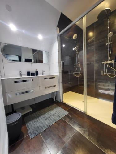 une salle de bain avec douche et lavabo dans l'établissement Maison moderne 180 m2, à 10 min du Circuit des 24h du Mans, à Fatines