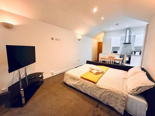 a bedroom with a bed and a flat screen tv at Stylish 1 Bedroom Flat in the Heart of Staines in Staines upon Thames