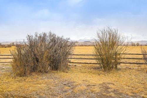 two bushes in a field next to a fence at Hike, Hunt and Unwind Mtn-View Cabin in Del Norte! in Del Norte