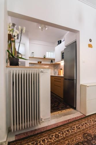 Spacious Apartment in Lycabettus Hill